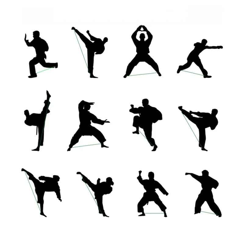 Taśmy oporowe Taekwondo Kicker - obrazek 3